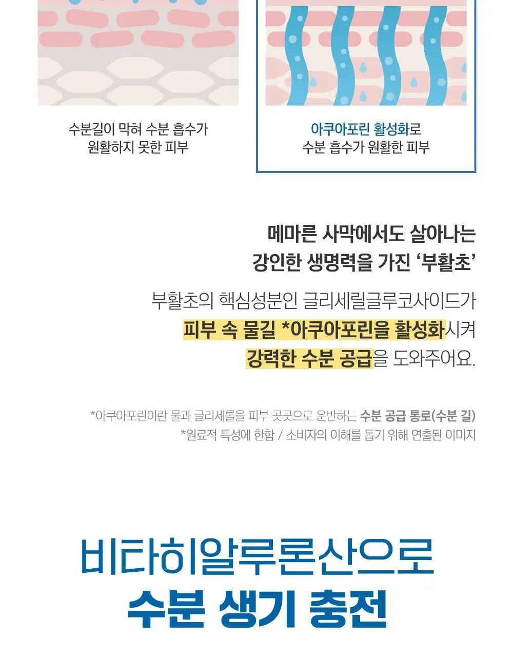 [수분생기] 라운드랩 자작나무 수분 토너 300ml 상세페이지 8